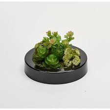 Artificial Dish Garden Of Succulents