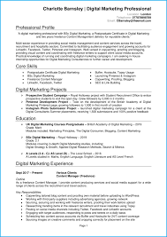 This post will help you craft a powerful objective statement for your cv or resume to land your dream teaching role. Student Cv Template 10 Cv Examples Get Hired Quick