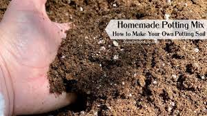 homemade potting mix how to make your