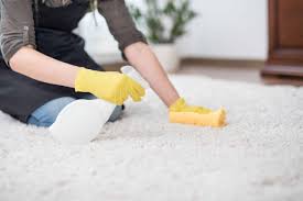 how to clean vomit from carpet tidyhere