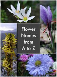 a list of flower names from a to z