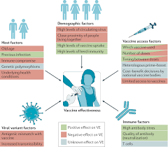 progress of the covid 19 vaccine effort