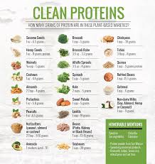 There Are Many Wonderful Plantbased Proteins To Choose