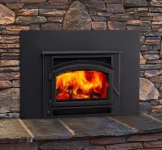 Gas Or Wood Burning Fireplace