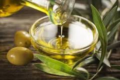 Is olive oil considered a seed oil?