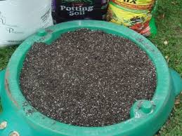 can you grow plants only in peat moss
