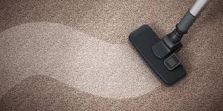 maximum carpet care carpet