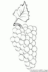 Coloring grapes is a great opportunity to familiarize your child with the variety of varieties of juicy drawing grapes with coloring pages, a kid can create his own unique variety by painting the berries. Coloring Page Bunch Of Grapes
