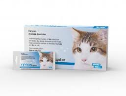 Solving your cat's skin condition can be as simple as solving his flea problem in these cases, so treat him with a. Veterinary Products Bioveta A S Bioveta A S International