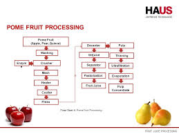 Fruit Juice Processing Ppt Video Online Download