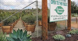 Evergreen Nursery In El Cajon Ca