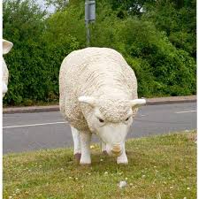 Grazing Life Size Sheep Nicky Cornell