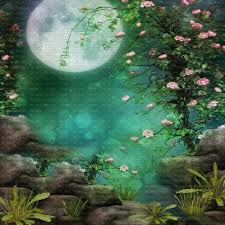Moon Lune Night Nuit Mond Fond