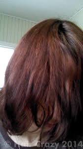 It provides 100% gray coverage and is best for anyone with natural hair between dark blonde and darkest brown. How Do I Go From Rusty Red Hair To Medium Ash Brown Forums Haircrazy Com