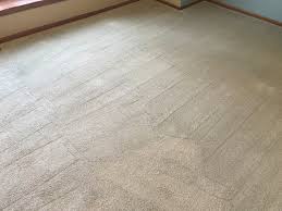 carpet furniture cleaning llc reviews