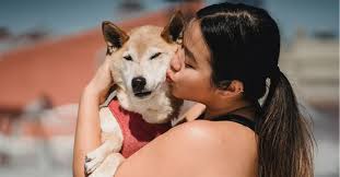 expert warns against kissing dogs on
