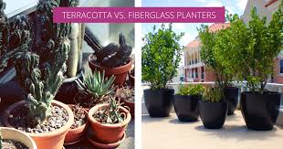 Terracotta Planters Vs Fiberglass