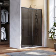 Elegant Black Sliding Shower Doors