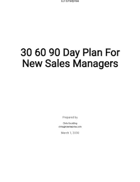 73 sle 30 60 90 day plans in pdf