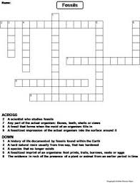They were formed by ancient. Types Of Fossils Worksheet Crossword Puzzle By Science Spot Tpt