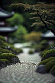 Photo Depth Of Field Japanese Zen Garden