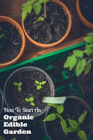 How To Start An Organic Edible Garden