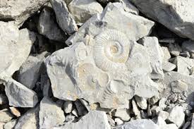 limestone rock uses formation