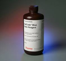 gelcode blue stain reagent