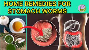 5 simple home remes for stomach