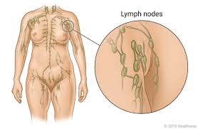 lymph nodes family health ociates