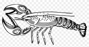Use the download button to view the full image of lobster coloring free. Fresh Crayfish Coloring Page Nashville Free Printable Coloring Page Of A Lobster Free Transparent Png Clipart Images Download