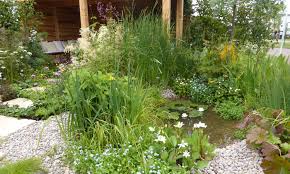 Build A Wildlife Pond