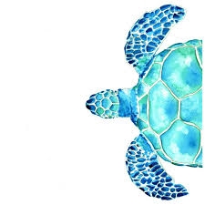 Coastal Sea Turtle Painting By Kasia