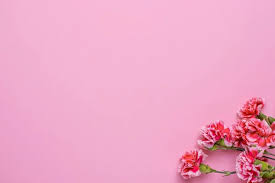 pink wallpaper with pink flowers top