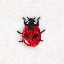 sy ladybug