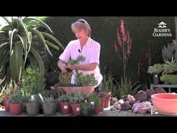 Debra Lee Baldwin Succulents Seminar