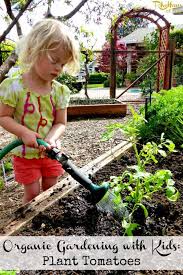 Organic Gardening With Kids Plant