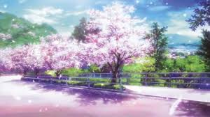 Asia cherry blossom fujii japan png image, transparent png. Anime Cherry Blossom Wallpapers Top Free Anime Cherry Blossom Backgrounds Wallpaperaccess