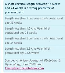 Cervix Length 2 8cms High Risk Babycenter