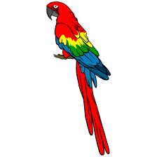 parrot cute cartoon red colorful bird