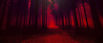 2560x1080 wallpaper red theme forest