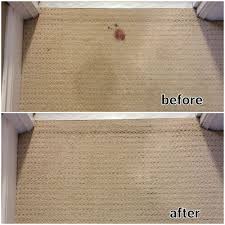 blood stain removal goodhue multiclean