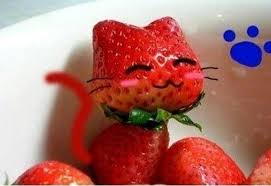 Image result for cats dressed as a strawberry