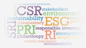 how to implement the right csr words