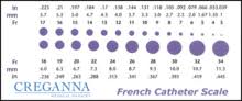 French Catheter Scale Wikipedia