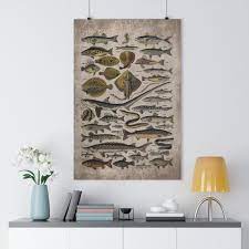 Vintage Fishing Poster In English Fish