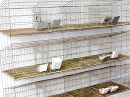 Rabbit Cages Manufacturer China