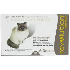 Revolution For Cats 15 1 22 Lbs Taupe 6 Month Supply