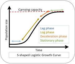 Logistic Growth