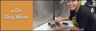 Get rest and stay hydrated. U Do Dog Wash Is A Diy Dog Wash In Waco Tx
